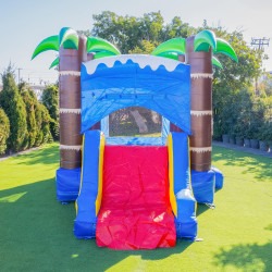 Ocean Shark Bounce House Slide Combo